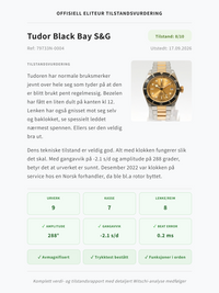 Tudor Black Bay S&G 41mm