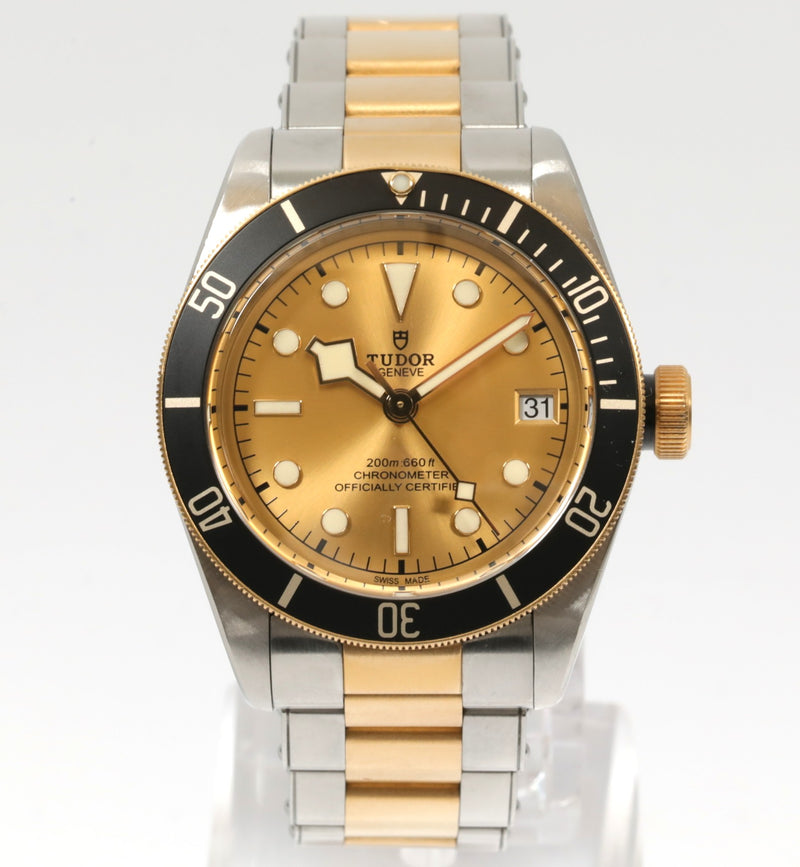 Tudor Black Bay S&G 41mm